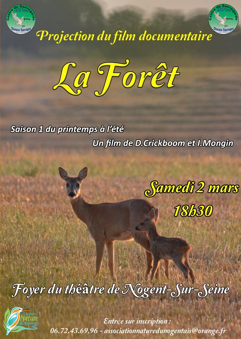 Projection du film documentaire La Forêt
